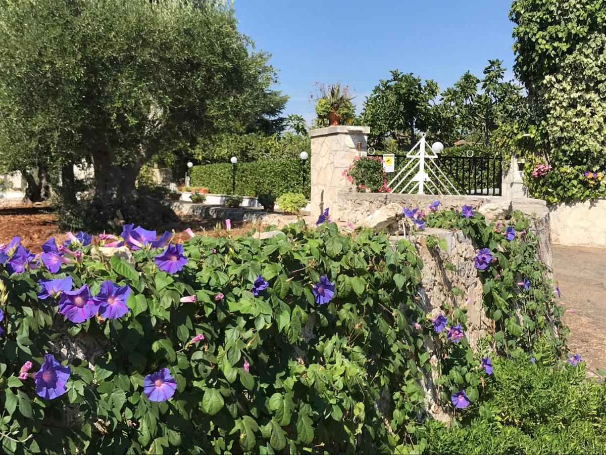 Hotel Il Trullo Di Nonno Angelo San Marco Locorotondo Exteriér fotografie