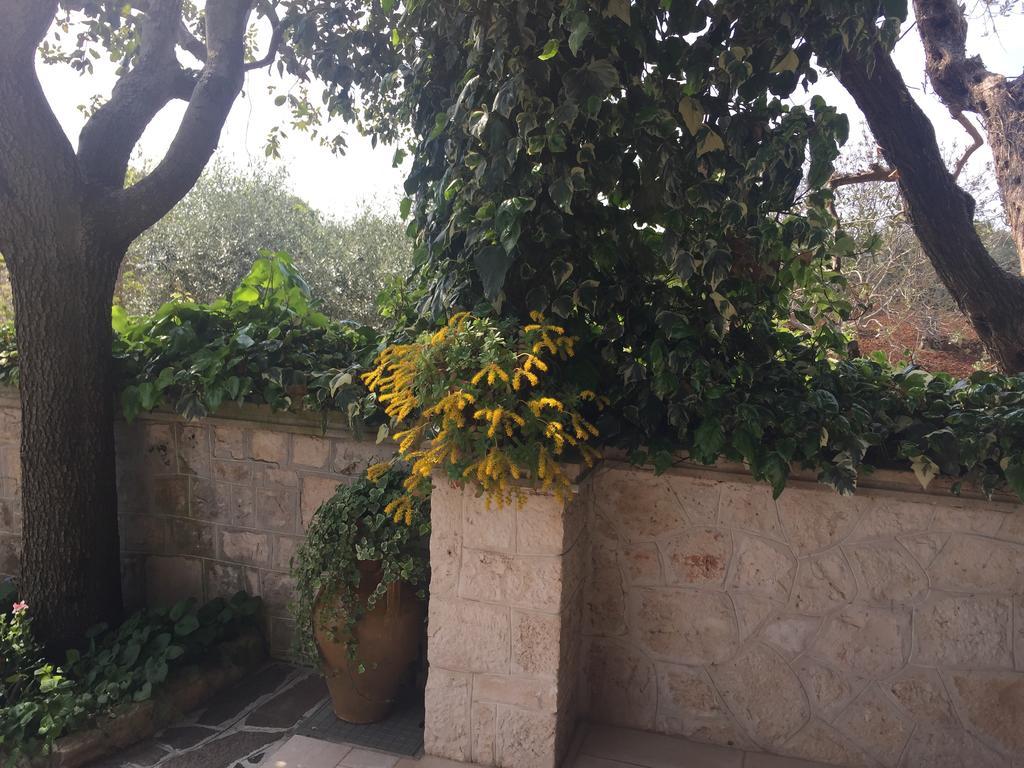 Hotel Il Trullo Di Nonno Angelo San Marco Locorotondo Exteriér fotografie