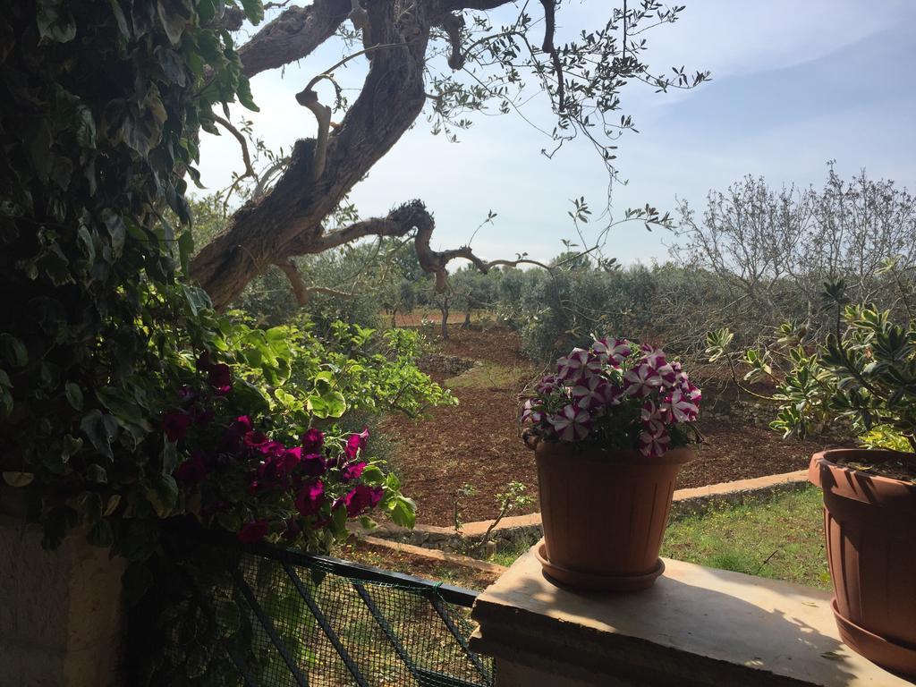 Hotel Il Trullo Di Nonno Angelo San Marco Locorotondo Exteriér fotografie