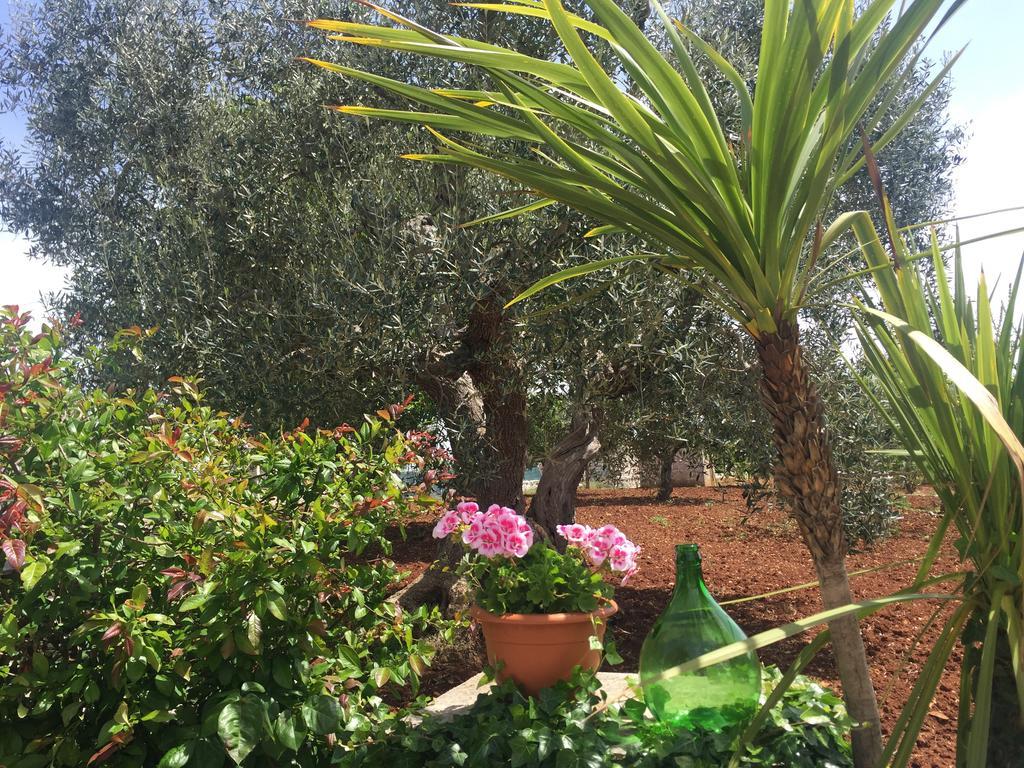 Hotel Il Trullo Di Nonno Angelo San Marco Locorotondo Exteriér fotografie